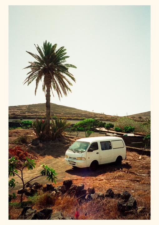 A white van is parked on a dirt road next to a palm tree with a hill in the background.