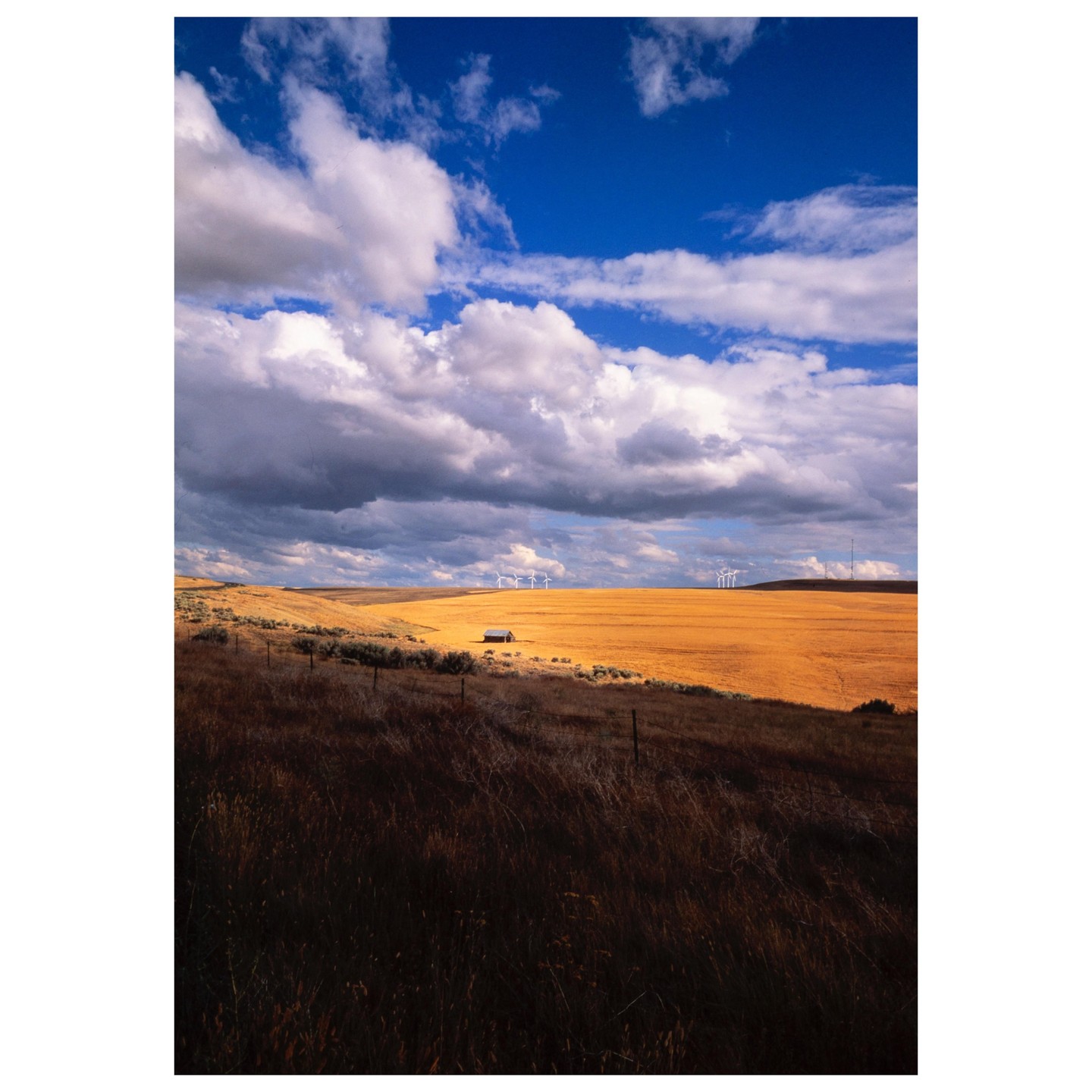A small shed sits in a golden field under a dramatic sky with wind turbines in the distance.