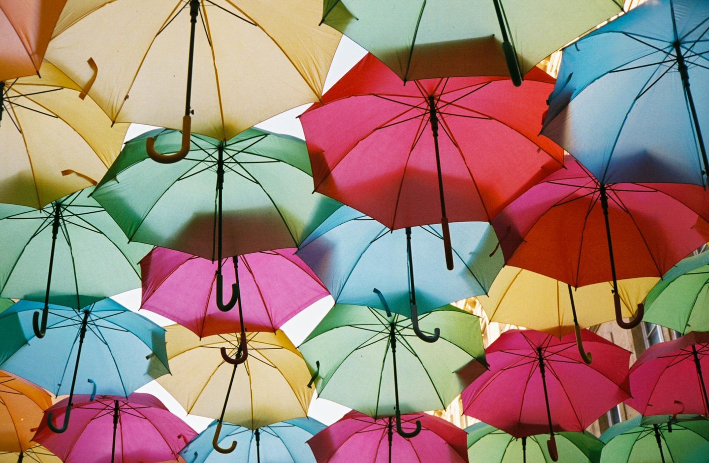 Many colorful umbrellas are suspended in the air, creating a canopy.