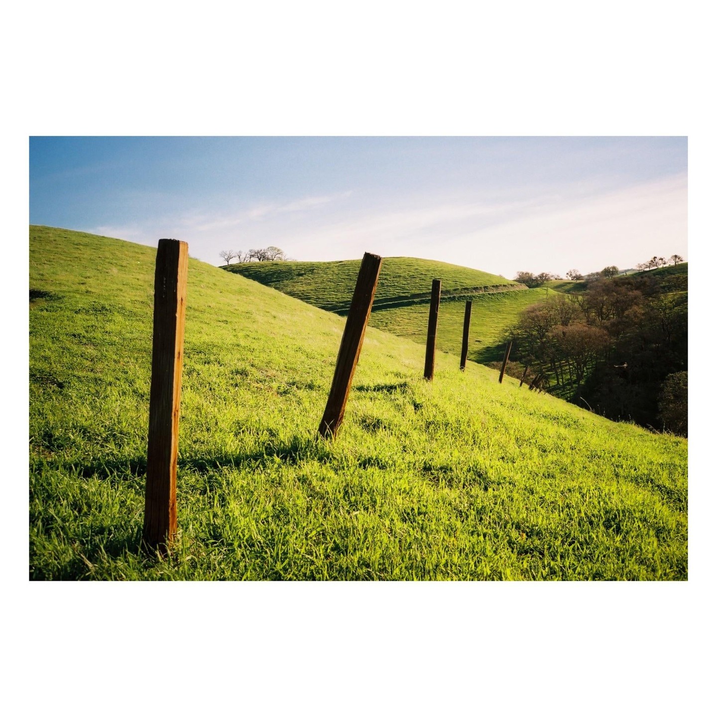 A line of wooden fence posts runs up a grassy hill under a blue sky.