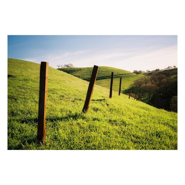 A line of wooden fence posts runs up a grassy hill under a blue sky.