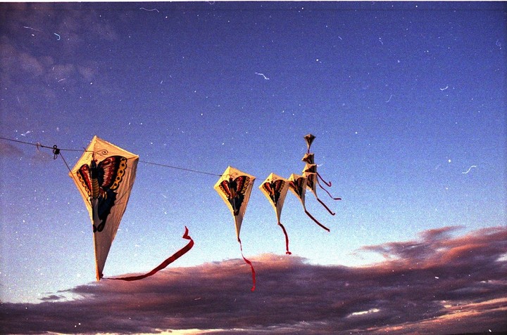 Several kites with butterfly designs fly against a blue sky with clouds at the bottom.