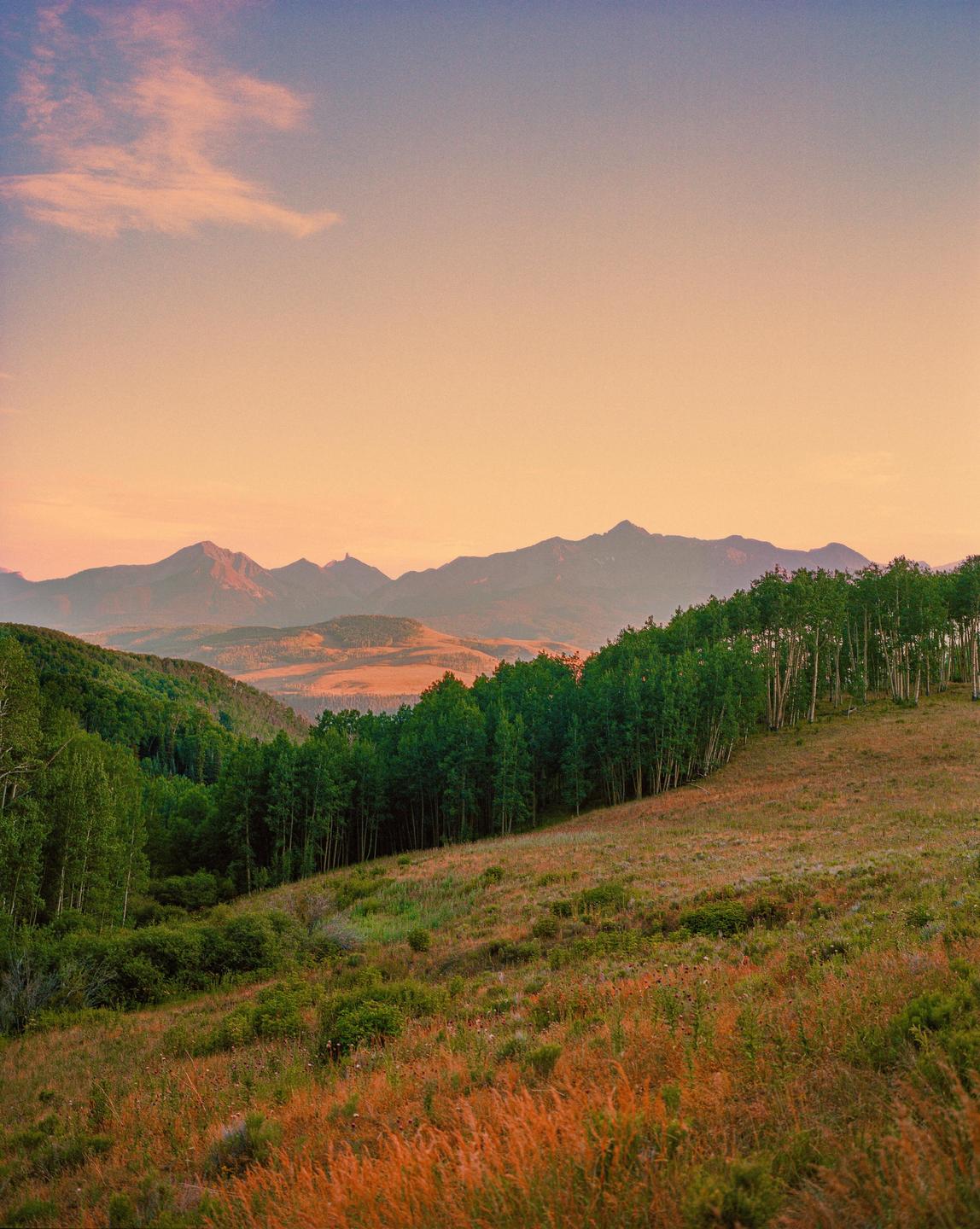 A hillside covered in tall grass and trees slopes down towards a valley with mountains in the distance under a colorful sky.