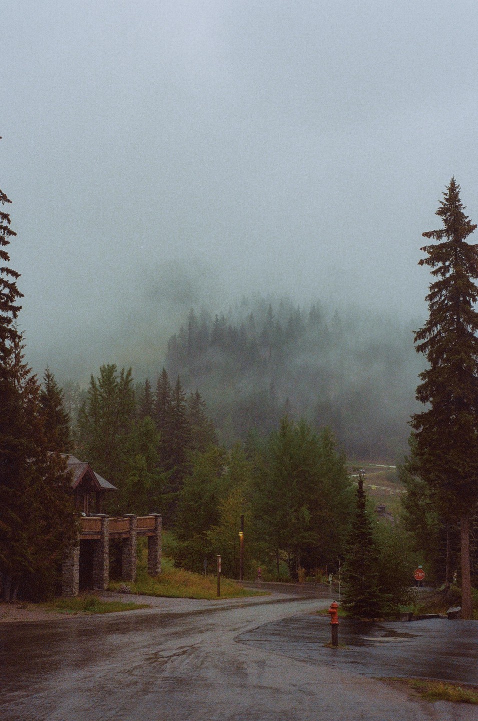 A winding road leads past a stone building and into a forest shrouded in fog.