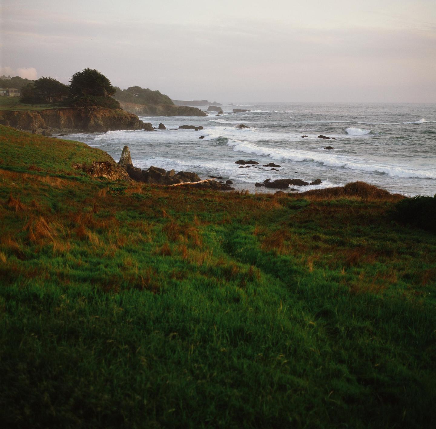 Waves crash against a rocky coastline with green and brown grass in the foreground and trees on a cliff in the distance.