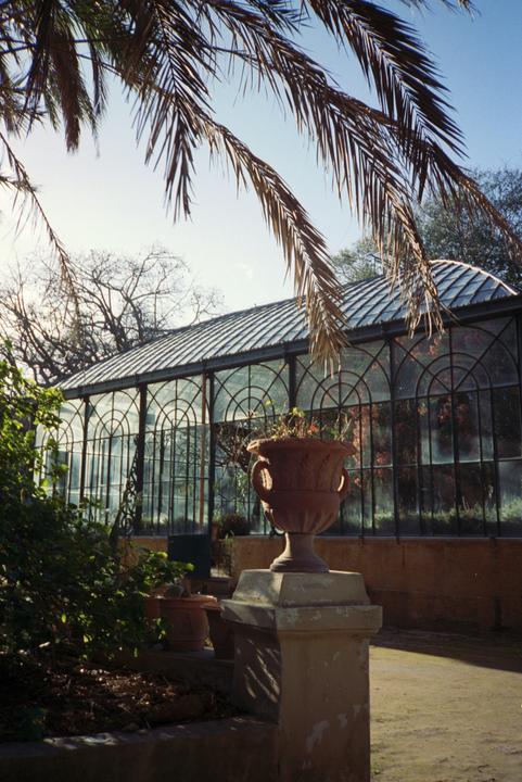 A large glass greenhouse with arched windows is partially obscured by palm fronds and other foliage.