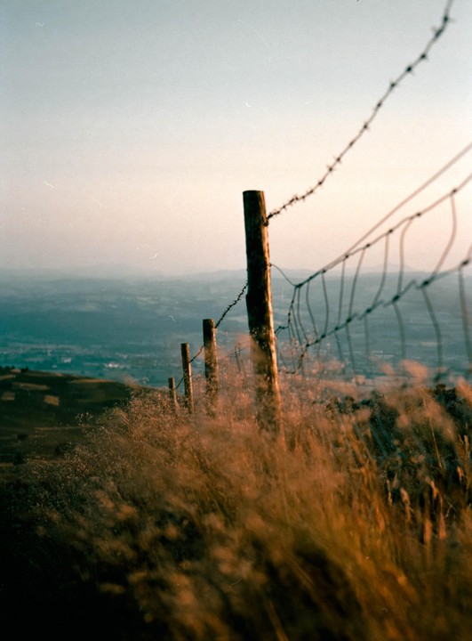 A barbed wire fence with wooden posts stretches across a grassy hill overlooking a valley at sunset.