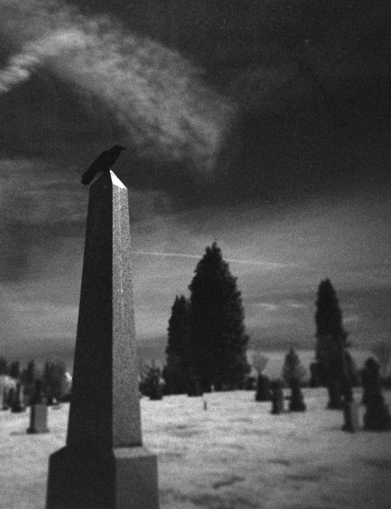 A crow sits atop a tombstone in a snowy cemetery with trees and a cloudy sky in the background.