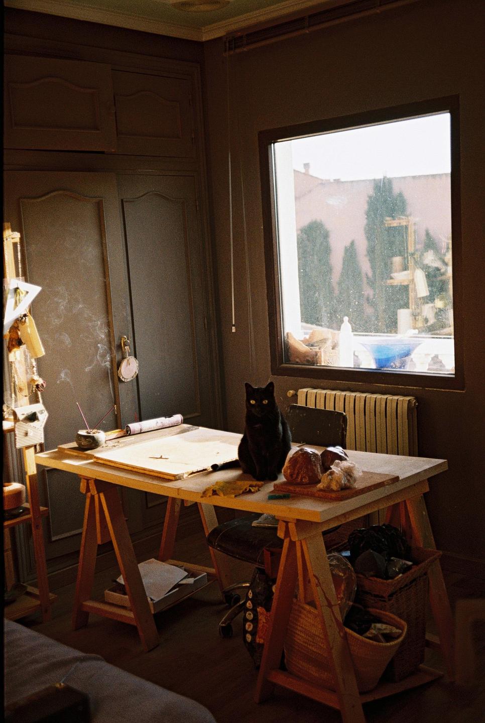 A black cat sits on a wooden desk in a studio with a window looking out onto a courtyard.