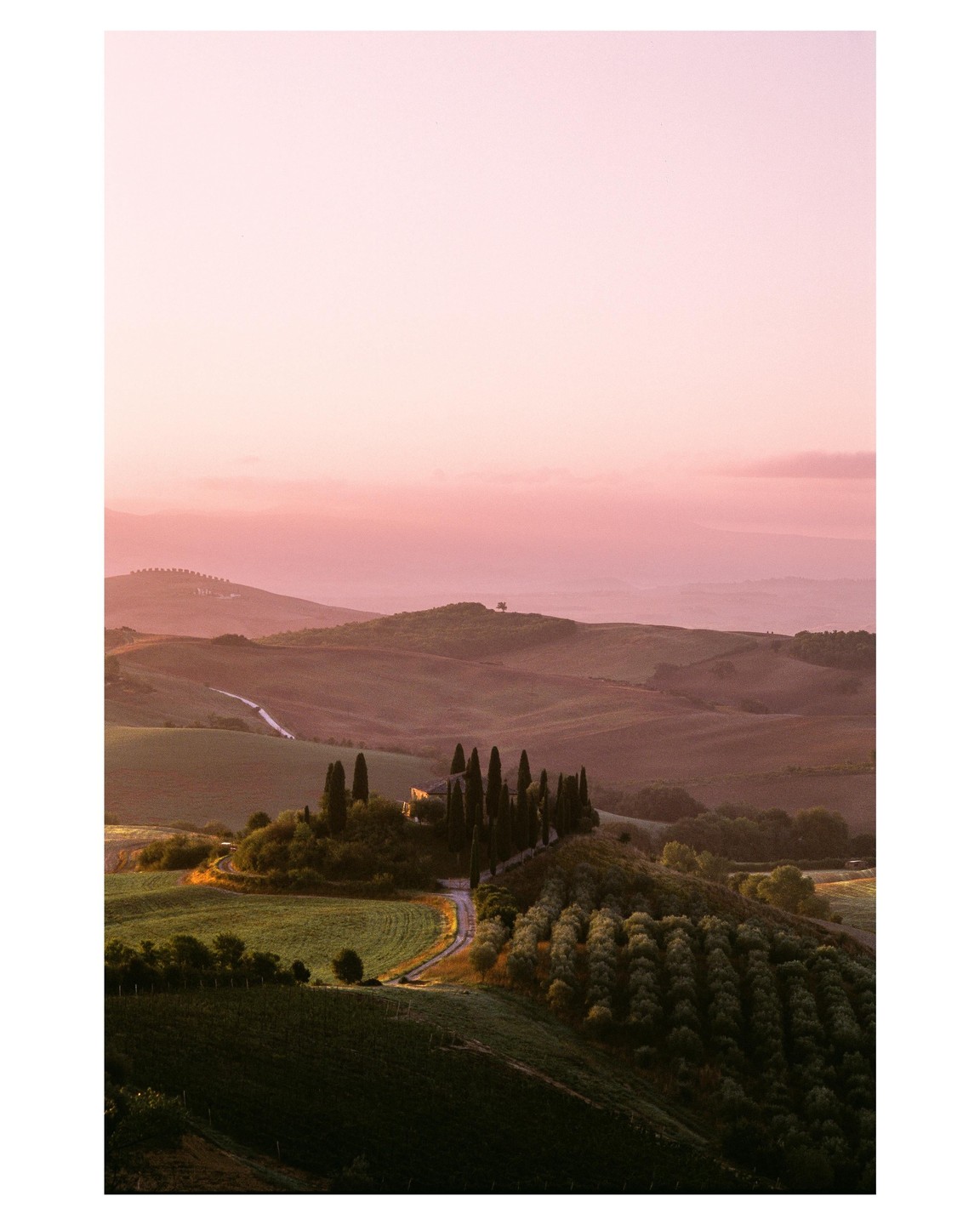 A winding road leads to a cluster of cypress trees and a building on a hill in a rural landscape at dusk.