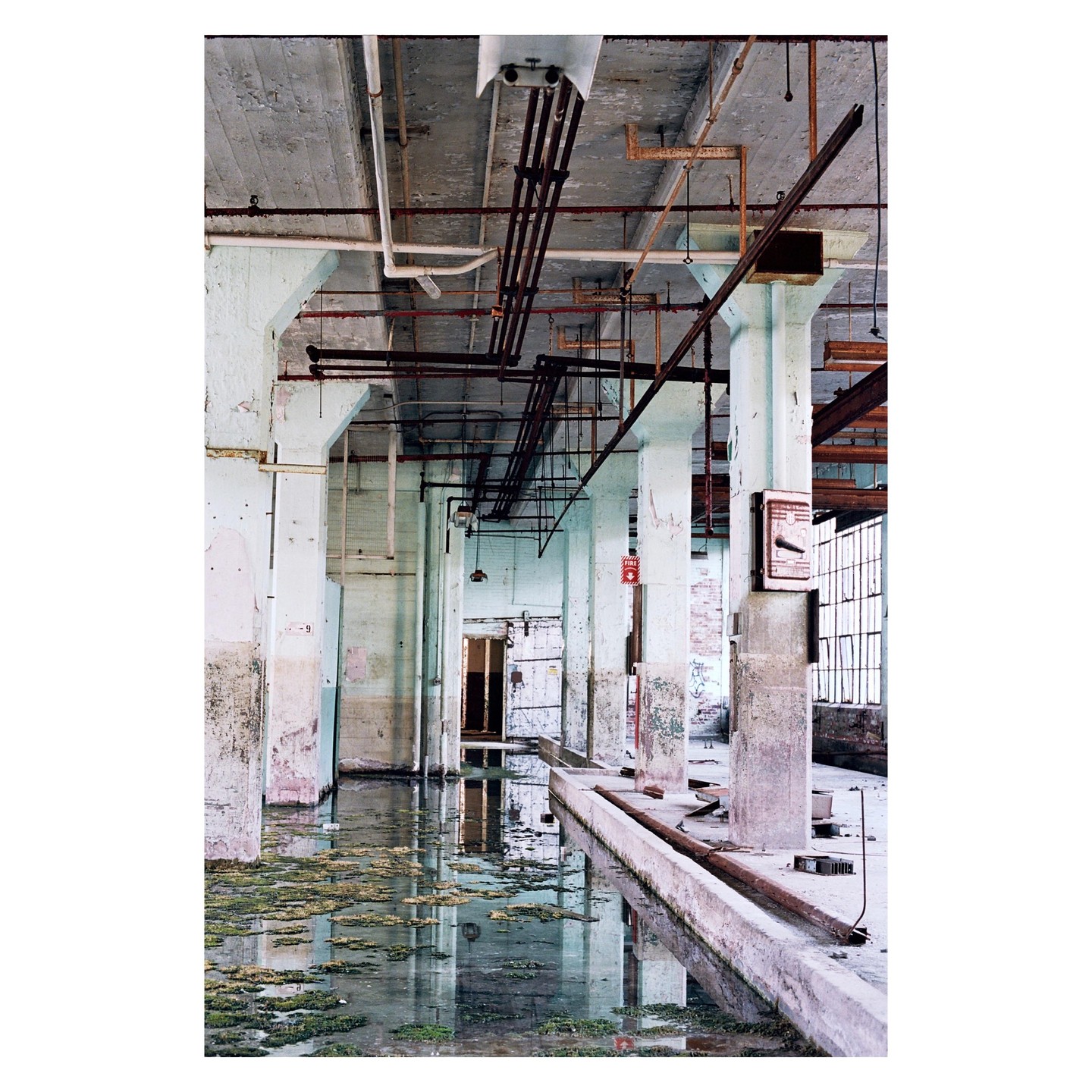 A flooded abandoned industrial building with moss growing in the water.