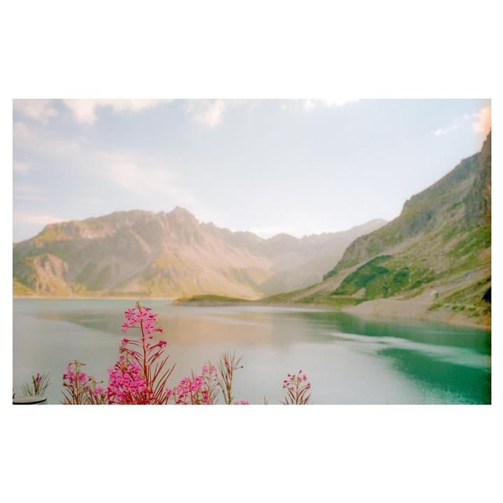 Pink flowers grow in front of a lake surrounded by mountains under a hazy sky.