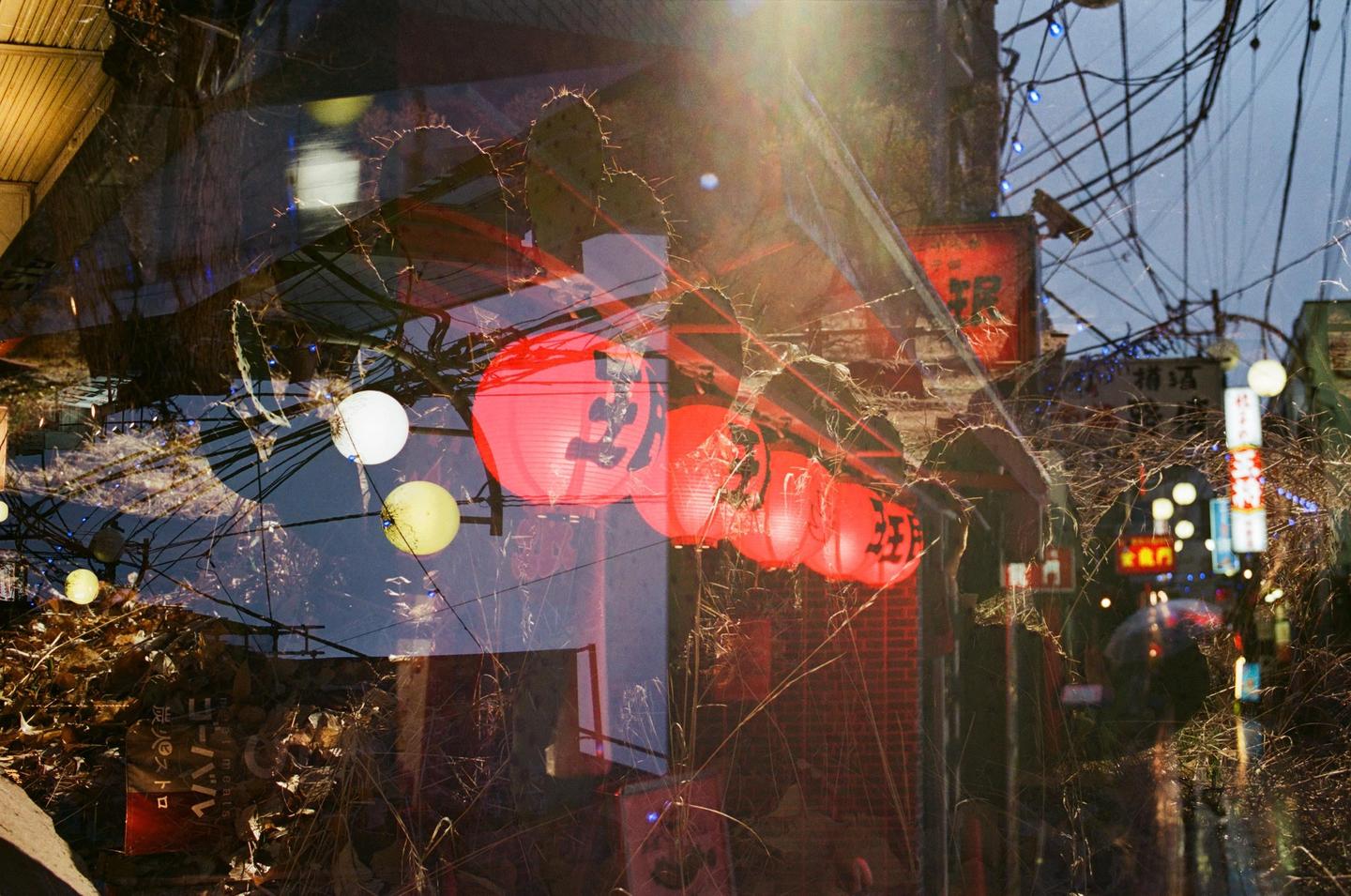 A double exposure shows red lanterns and street lights overlaid with dry brush and a building.