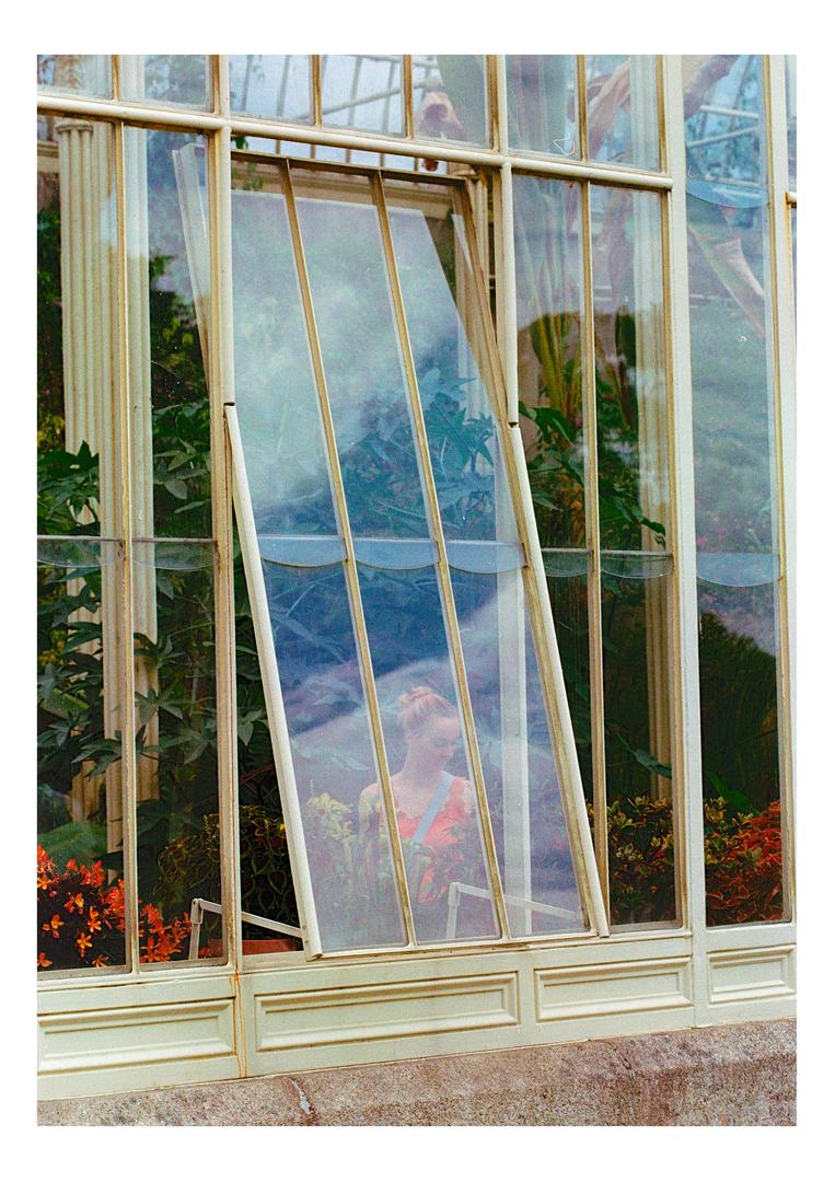 Botanic Gardens / Kodak Gold 200 /Bellini C41 dev kit / Canon 1n / Canon 85mm f1.8 / Canon 100mm f2.8, shot on CANON EOS 1N