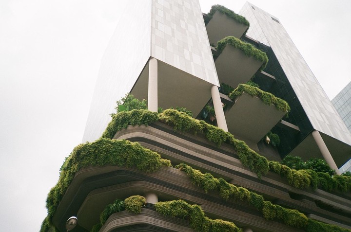 A modern building with balconies covered in lush green foliage stands against a bright sky.