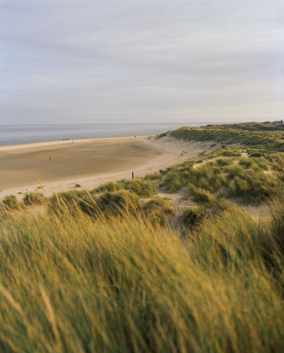 A sandy beach with dunes covered in tall grass stretches along the coast under a cloudy sky.