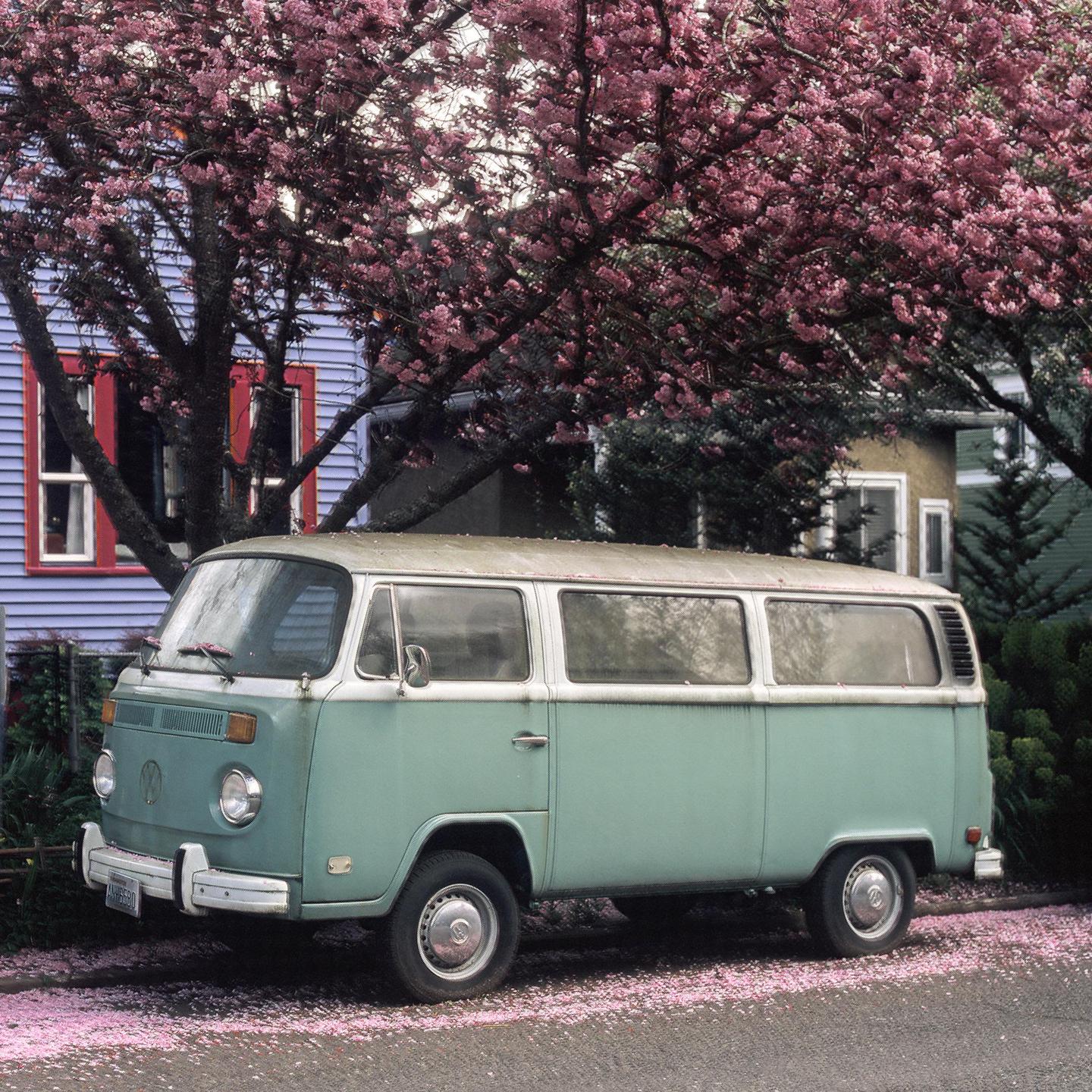 A light green van is parked on a street next to a house with a blooming tree overhead.
