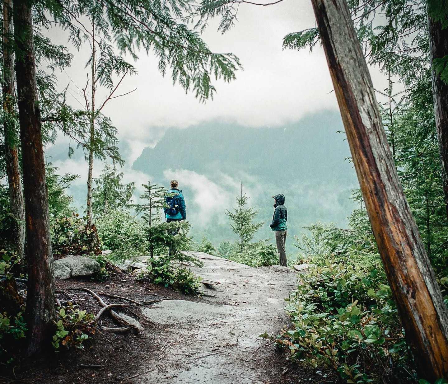 Two people stand on a rocky outcrop overlooking a valley filled with fog and surrounded by trees.
