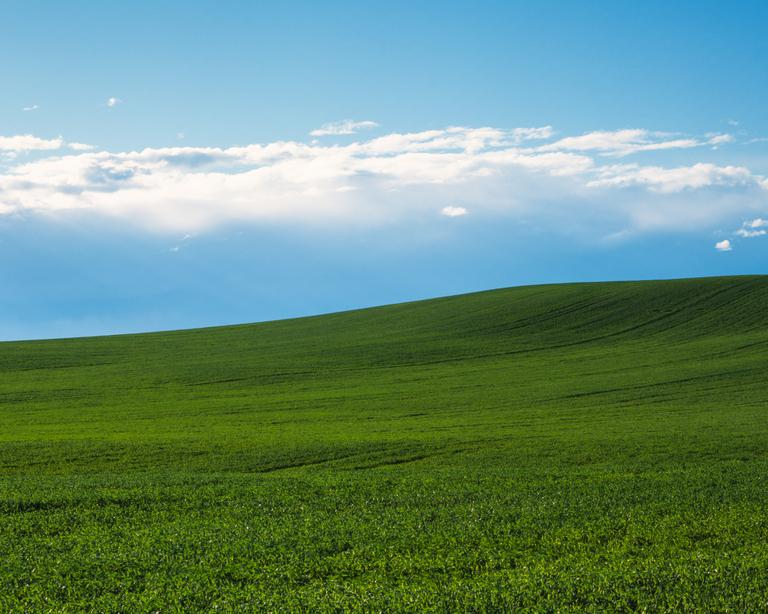 A green hill of grass is under a blue sky with white clouds.
