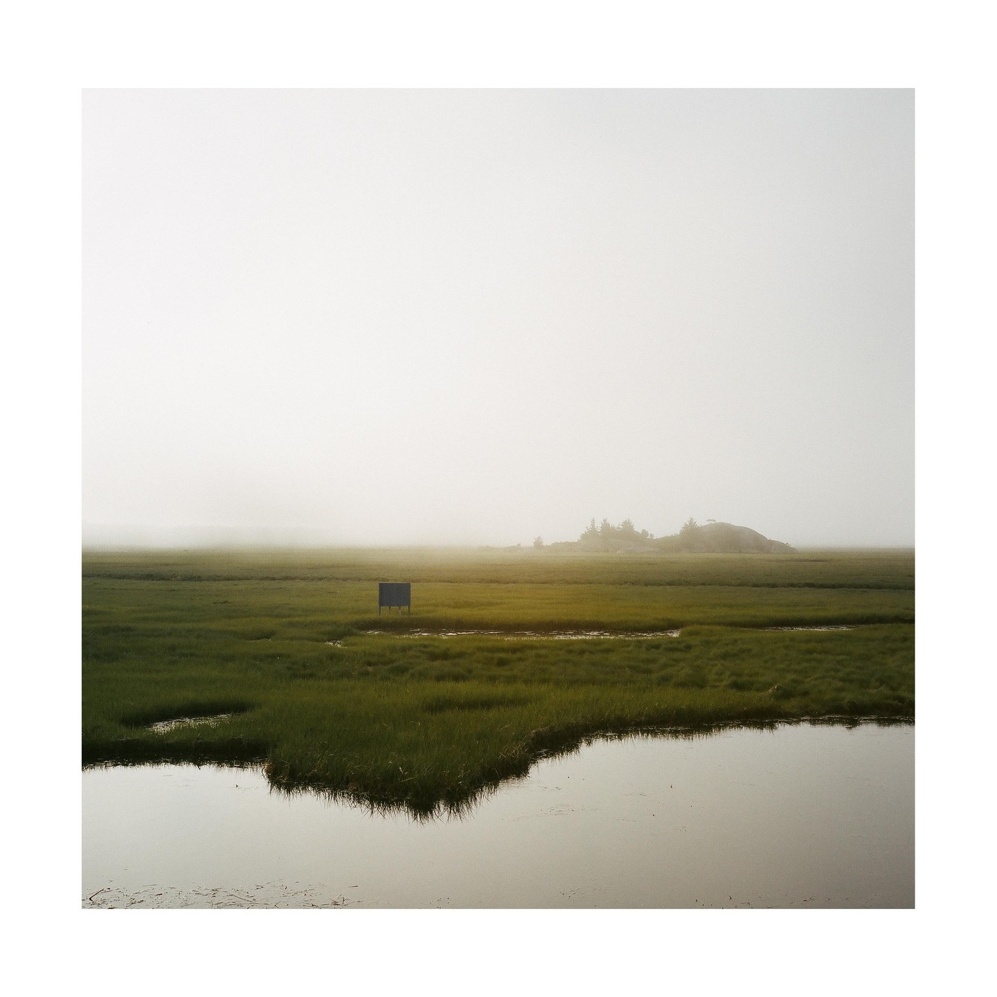 A salt marsh with a small body of water in the foreground and a hazy sky.