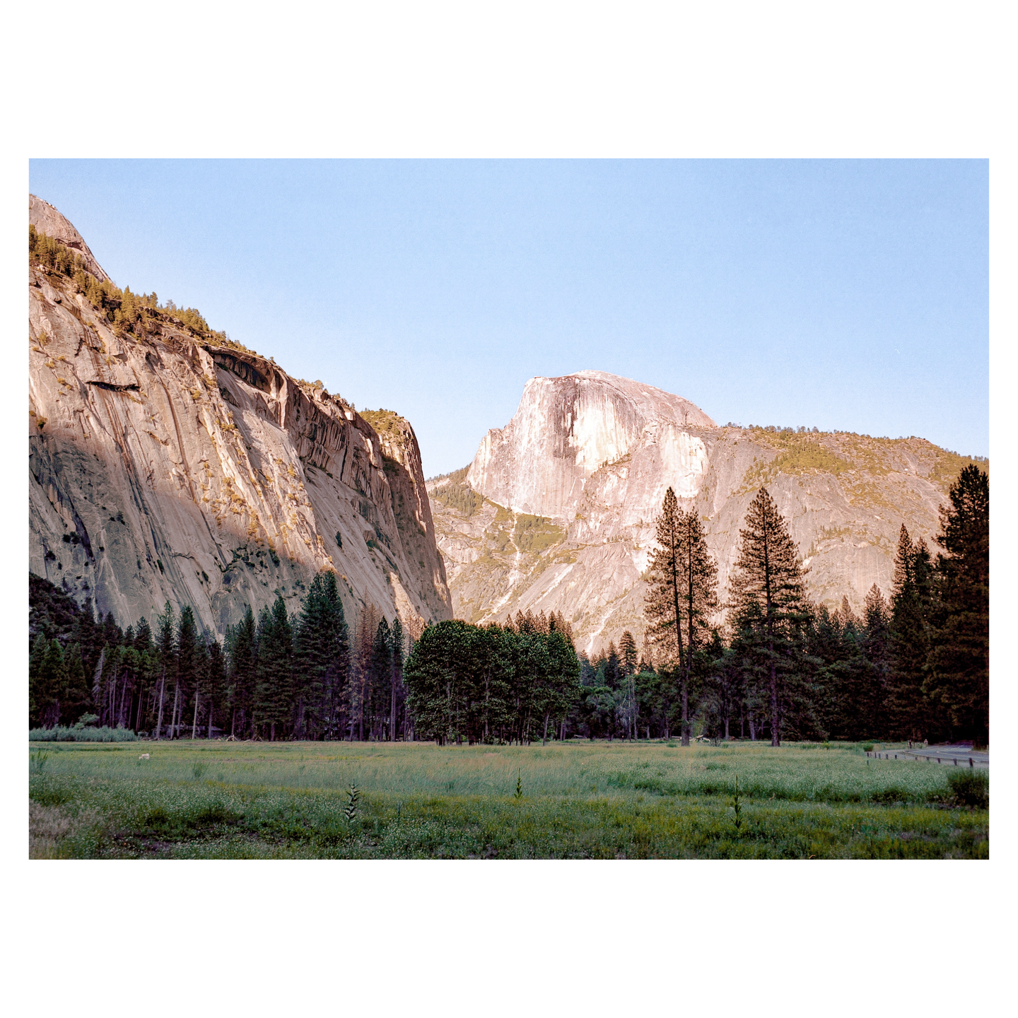 A wide shot of Yosemite Valley shows Half Dome and El Capitan with a meadow and forest in the foreground.
