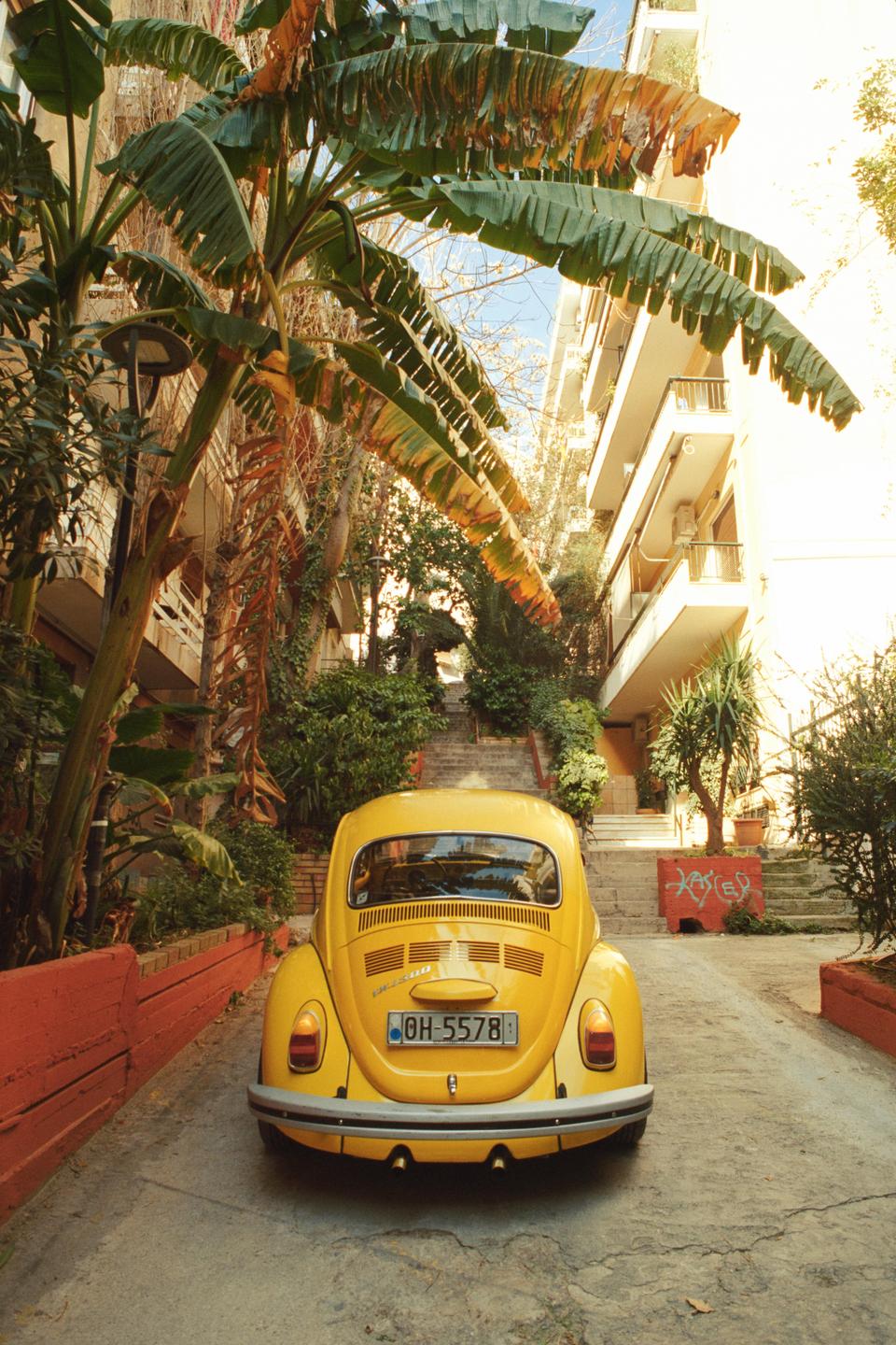 A yellow volkswagen beetle is parked on a concrete driveway surrounded by lush tropical foliage and apartment buildings.