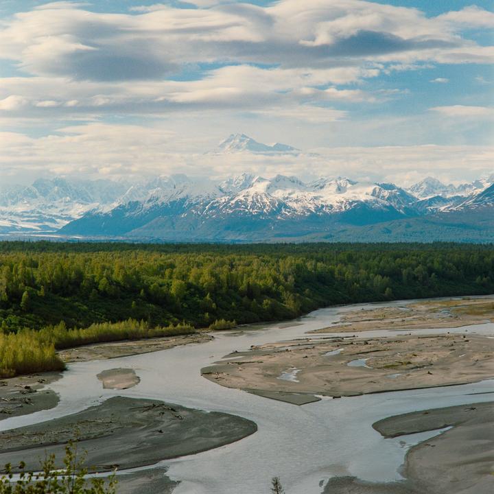 A wide river with sandbars flows through a forest with snow-capped mountains in the distance under a cloudy sky.