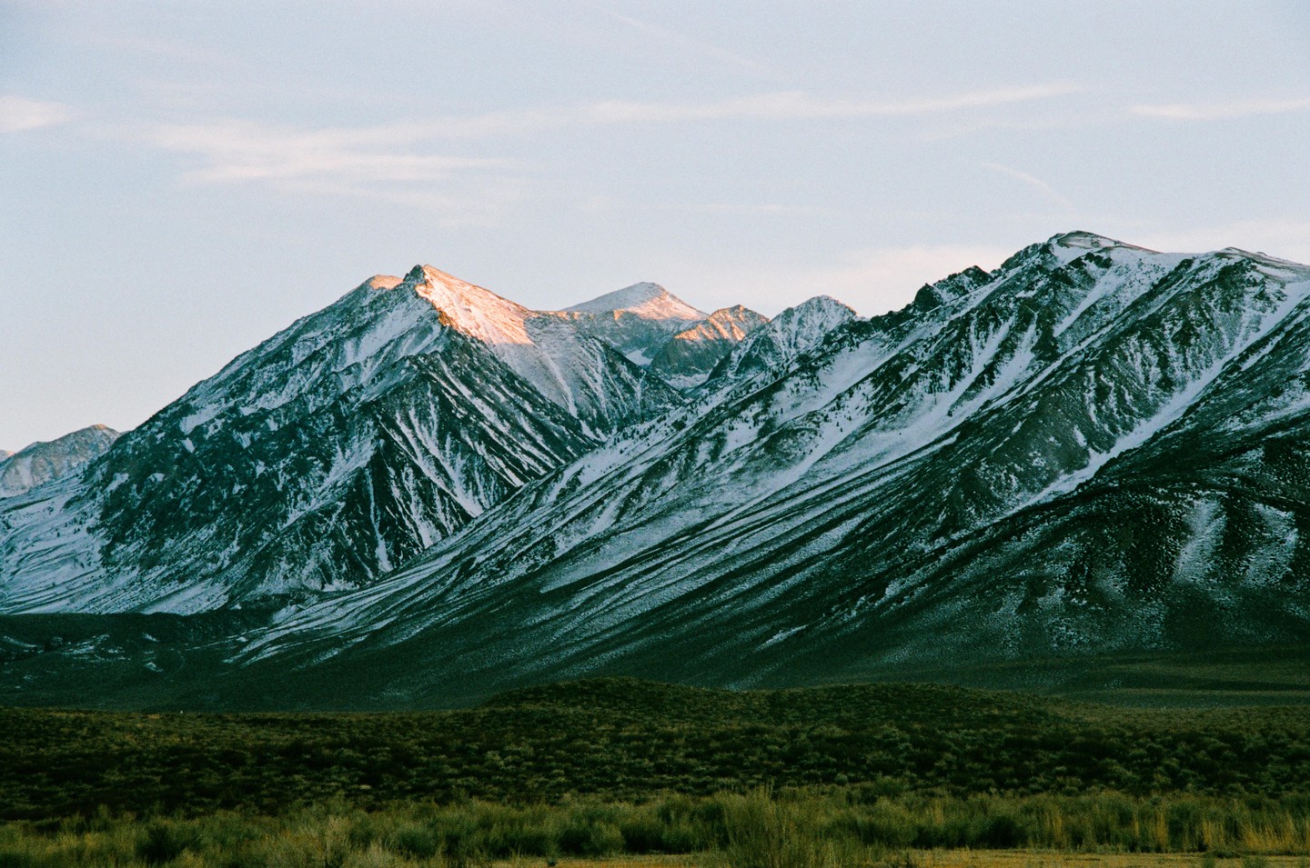 Snow-capped mountains rise above a field of green brush under a pale sky.