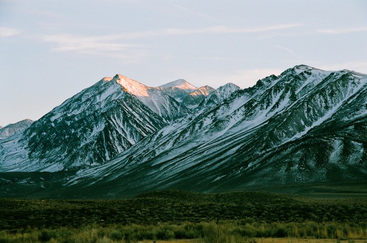 Snow-capped mountains rise above a field of green brush under a pale sky.