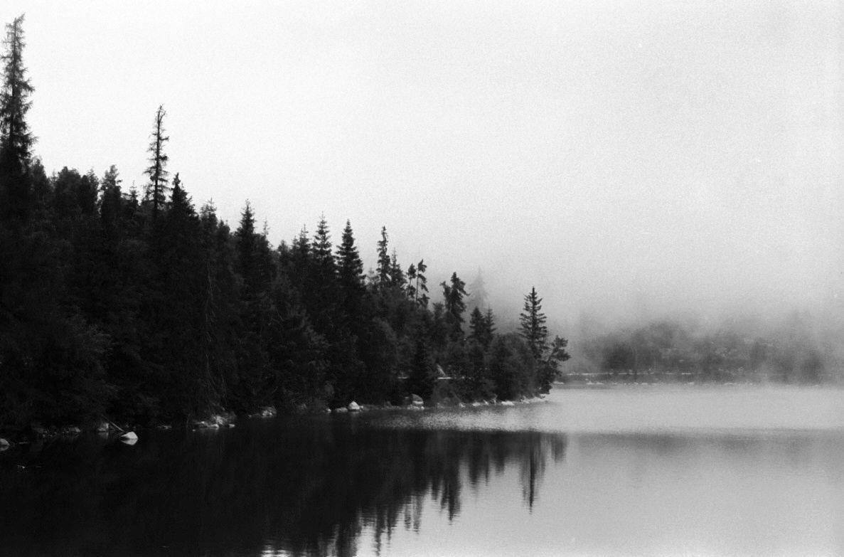 A dense forest lines the shore of a still lake, with fog obscuring the distant mountains.