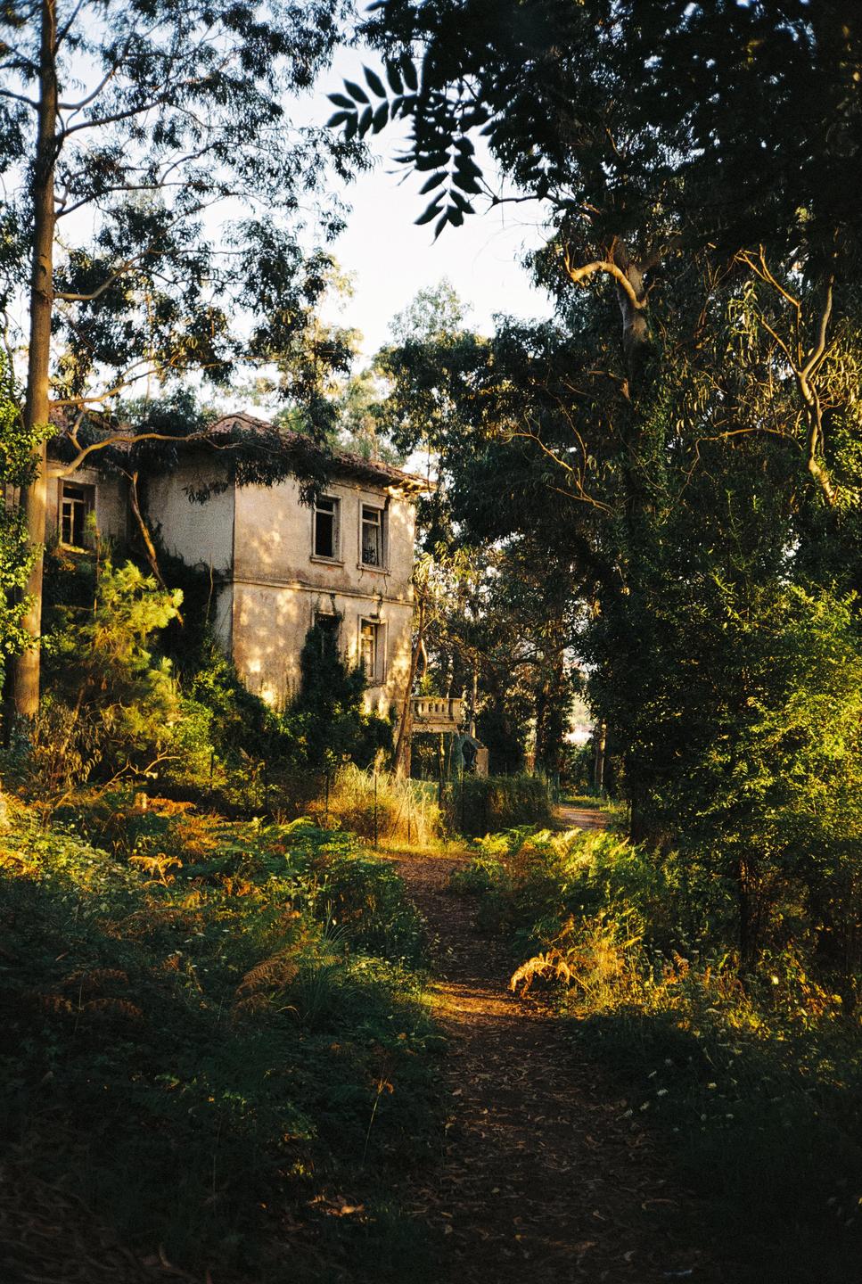 A path leads through a lush forest towards an old, overgrown house.