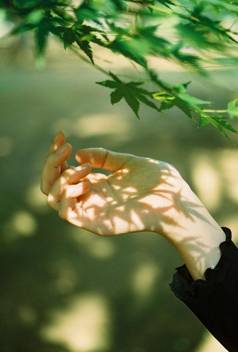 A hand is illuminated by dappled sunlight filtering through green leaves.