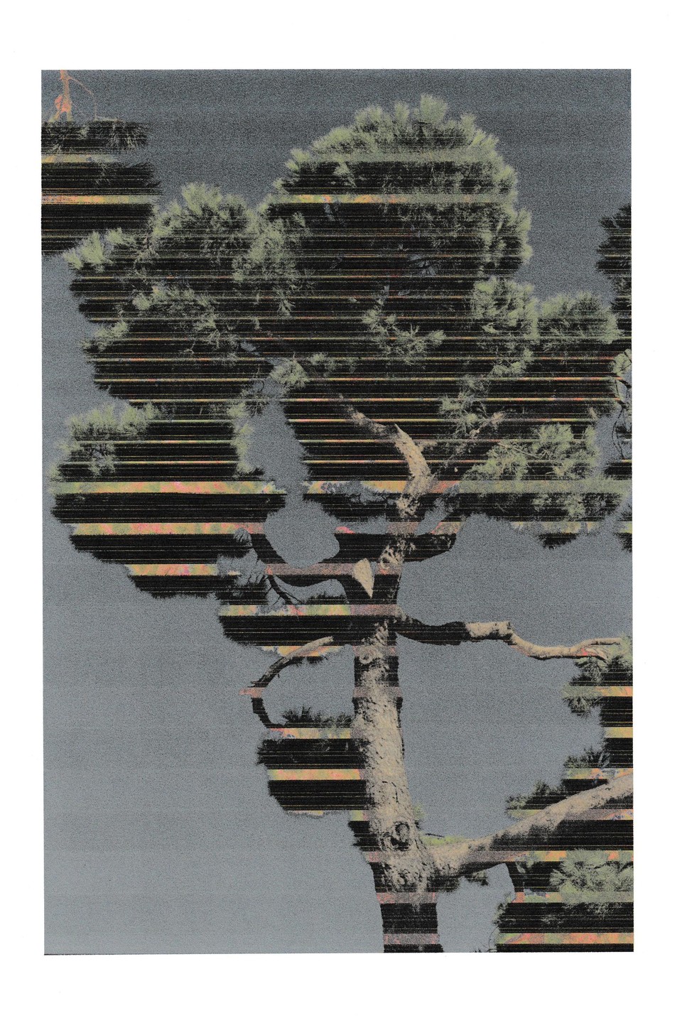 A tree with green foliage and a thick trunk stands against a gray background with horizontal lines of color.