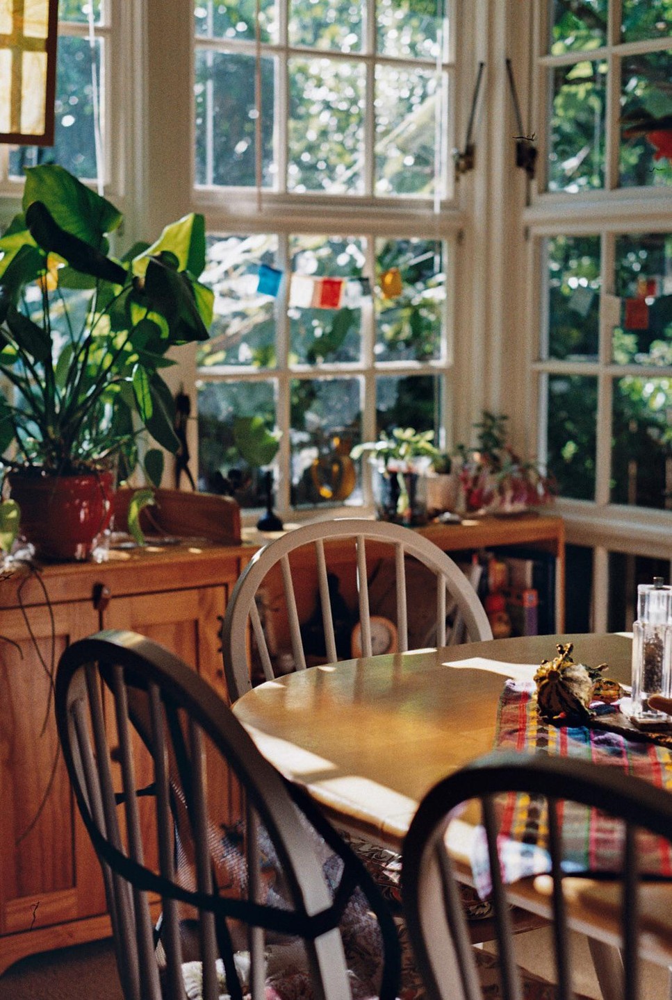Sunlight streams through a large window into a room with a wooden table and chairs, and several potted plants.