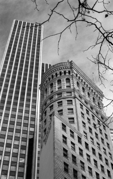 Two tall buildings, one modern and one ornate, rise into the sky with bare tree branches in the foreground.