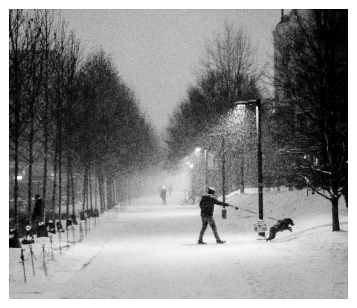 A man walks a dog on a leash down a snowy path lined with trees and streetlights.