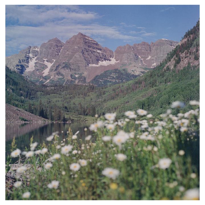 A field of white flowers in the foreground overlooks a lake and mountains.