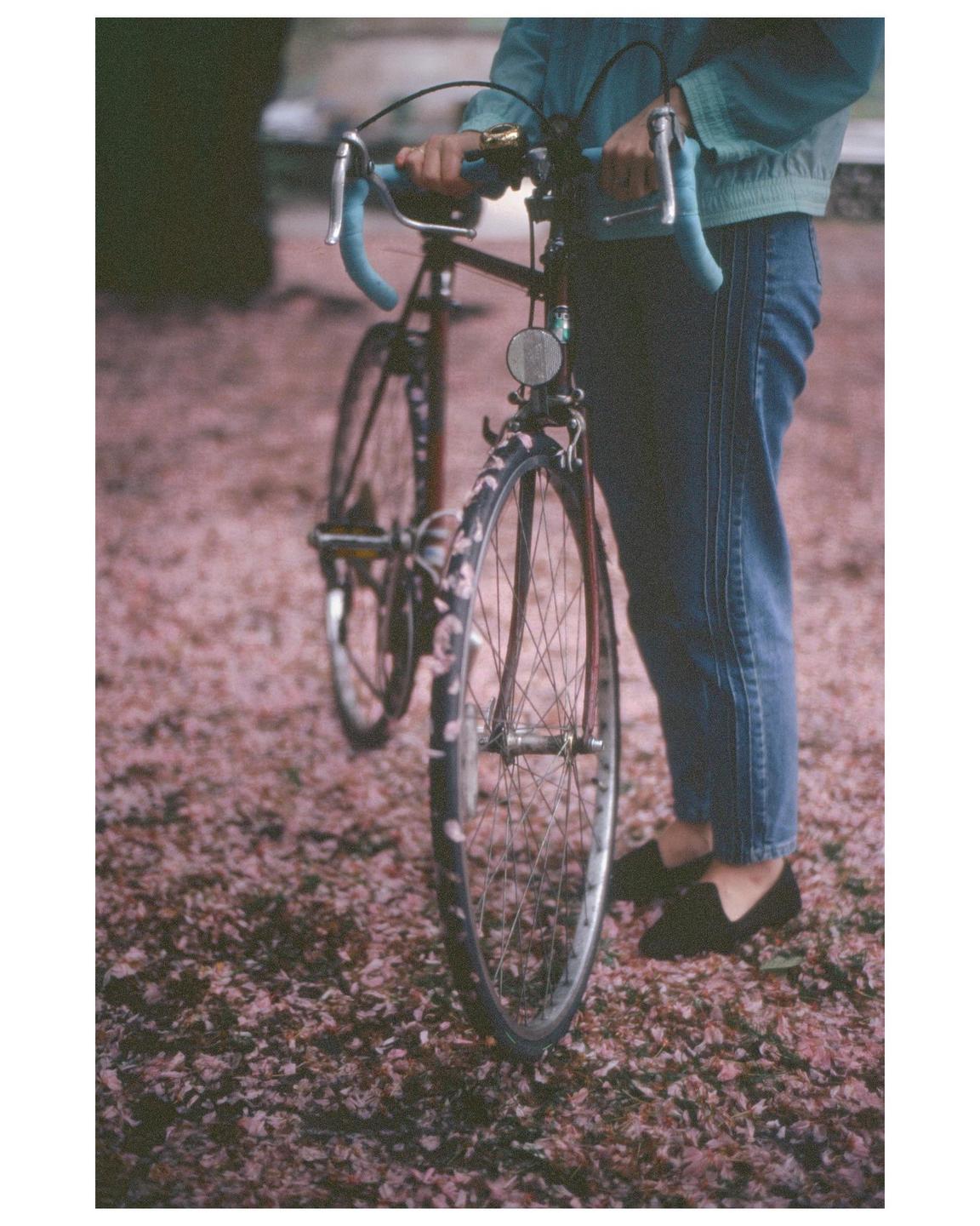 A person stands next to a bicycle on a path covered in pink petals.