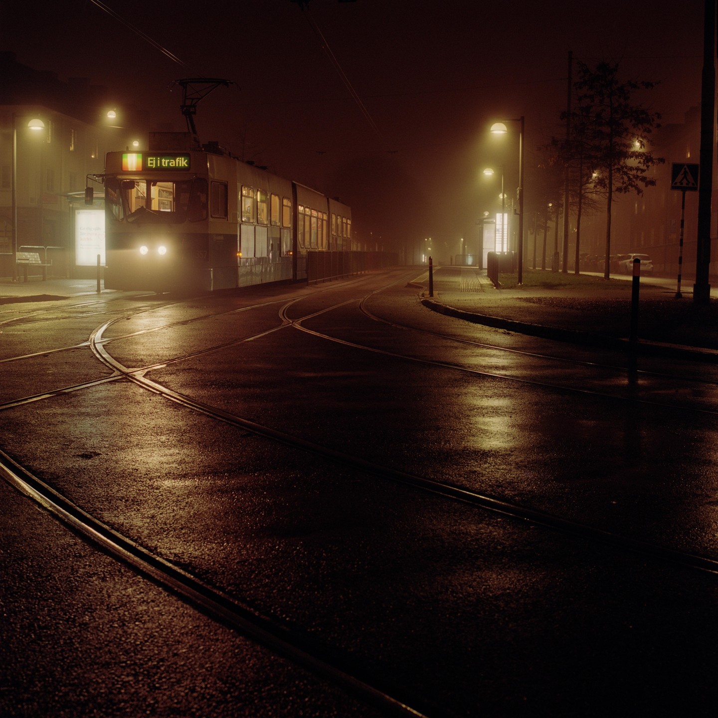 A tram with its headlights on is parked on a street with wet tram tracks at night.