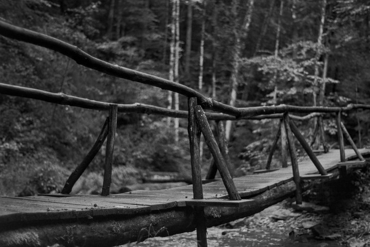 A rustic wooden bridge with a railing made of branches crosses a small stream in a forest.