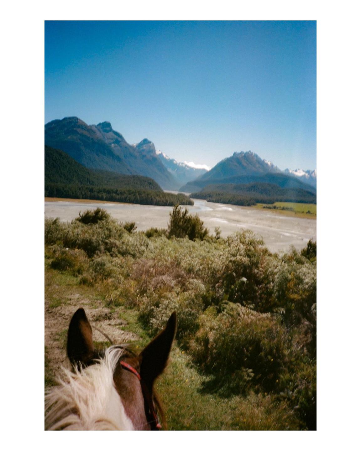 A horse's head is visible in the foreground of a landscape with mountains, a river, and green foliage under a clear sky.