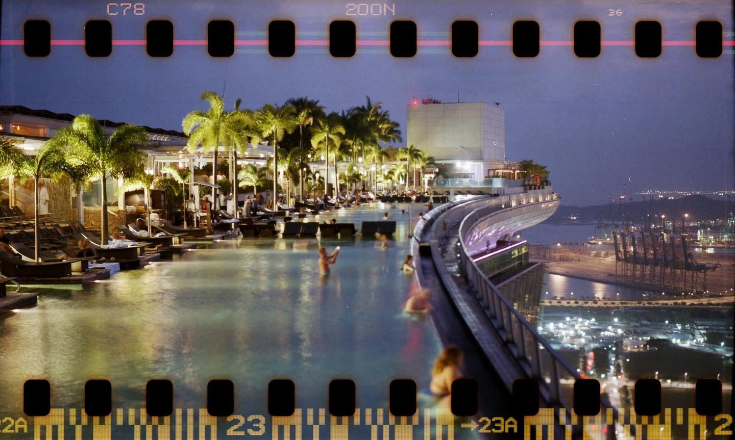 People are swimming in a rooftop pool surrounded by palm trees at night, overlooking a city and harbor.