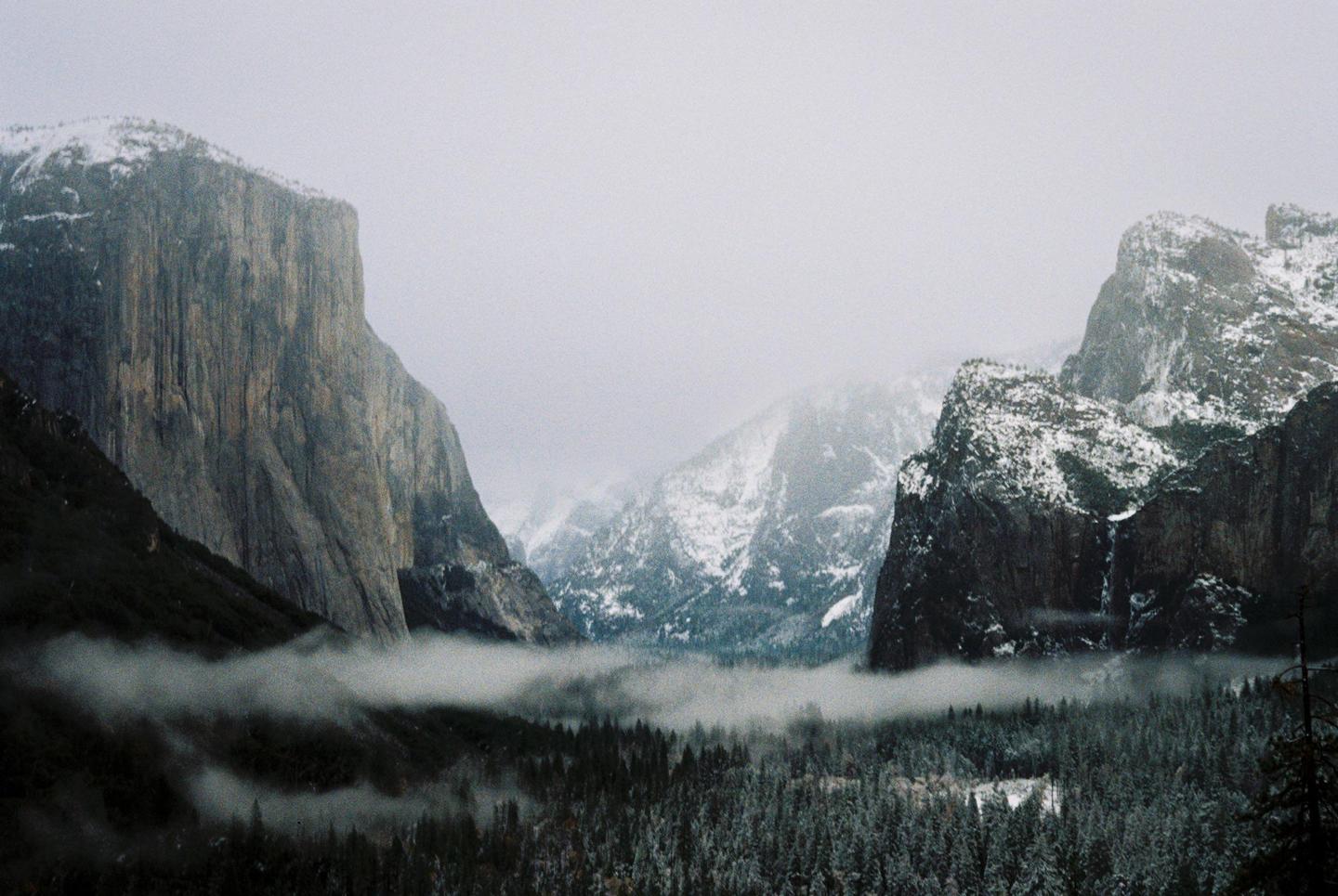 A valley with snow-capped mountains and a forest is covered in fog.