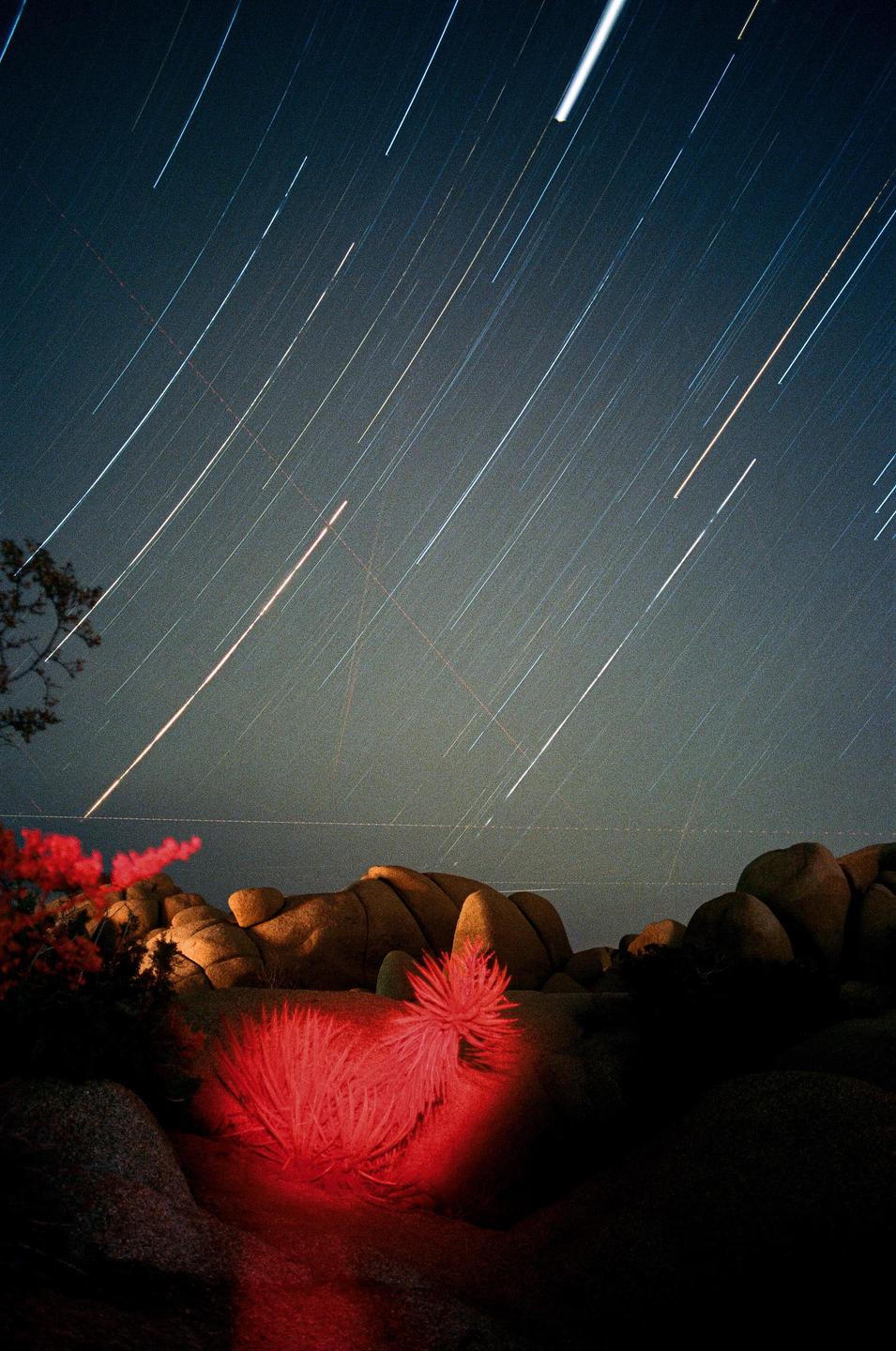A Joshua tree and boulders are illuminated by red light under a night sky with star trails.