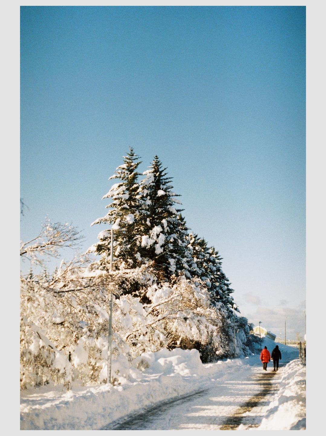 Two people walk along a snow-covered path next to snow-laden trees under a clear blue sky.