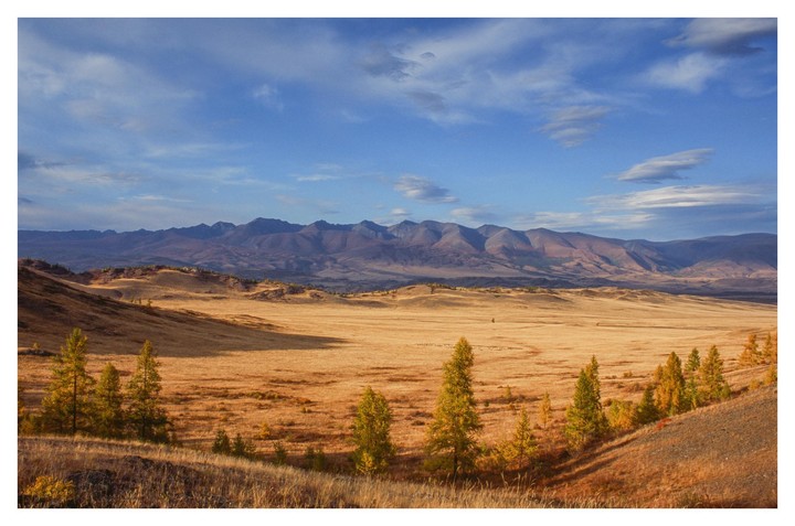 A vast golden field with scattered trees leads to a mountain range under a blue sky with clouds.