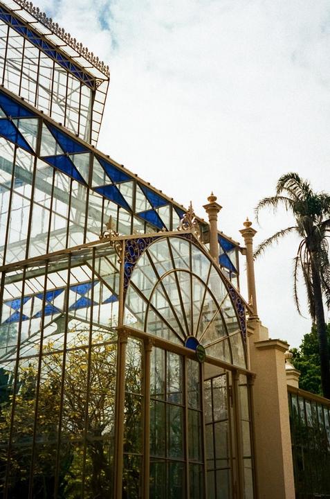 A glass greenhouse with blue accents and a palm tree stands under a cloudy sky.
