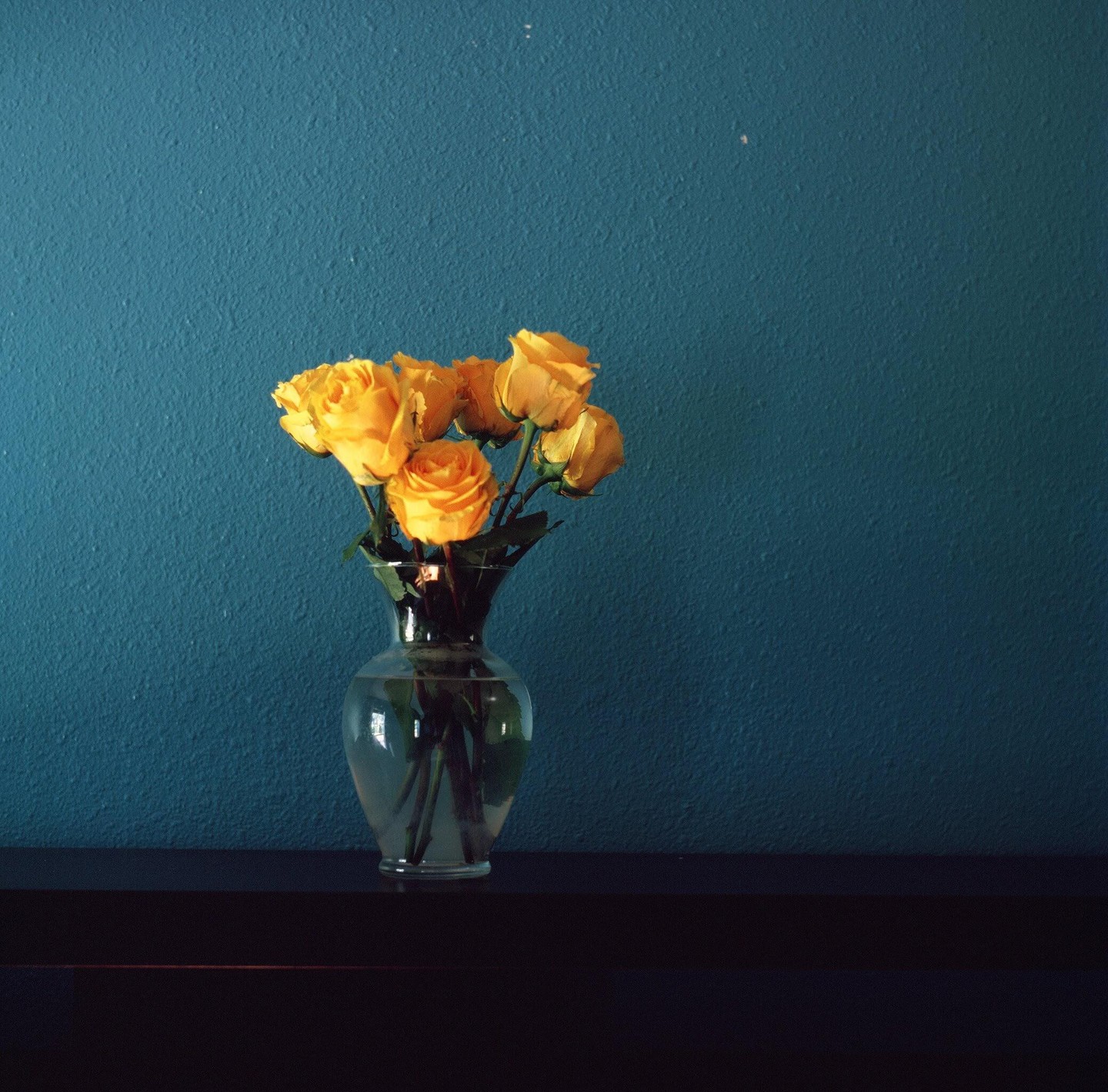 A vase of yellow roses sits on a dark surface against a blue wall.