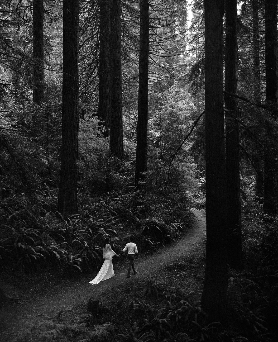 A couple walks hand in hand down a winding path through a dense forest of tall trees and ferns.