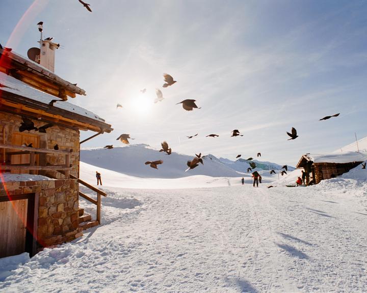 A flock of birds flies over a snow-covered mountain landscape with two cabins and several people.